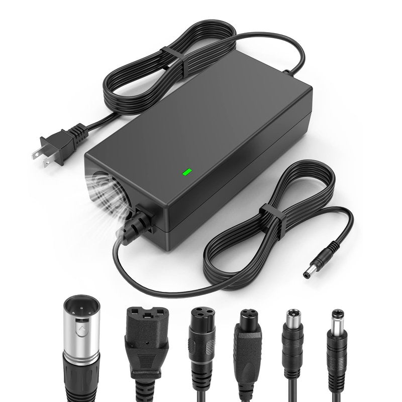 Fancy Buying 7-in-1 Universal 54.6V 2A ebike Charger for 48v Fast and Safe Charging of 13S Li-ion Battery