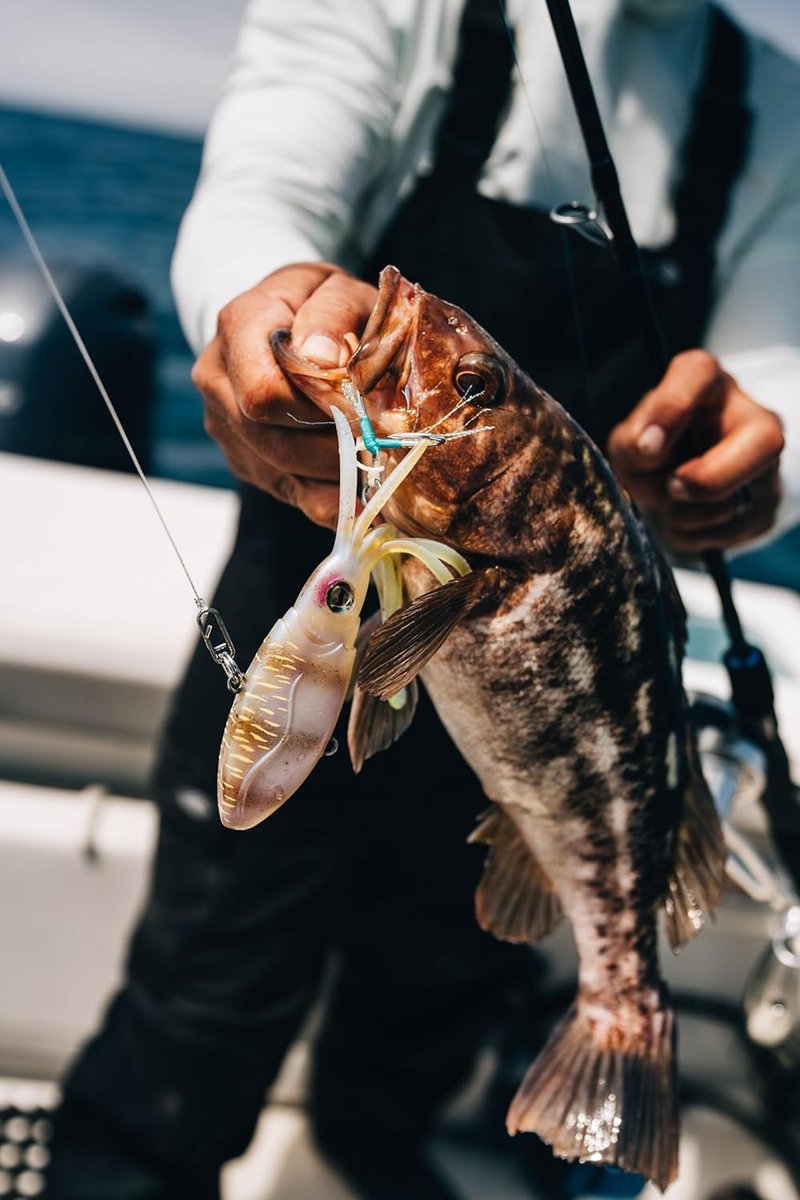 Nomad Design Squidtrex Vibrating Fishing Lure - TPE Soft Plastic Bait with Strong BKK Assist Hooks | Saltwater Fishing