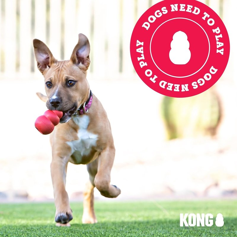KONG Flyer Dog Toy - Durable Natural Rubber Flying Disc for Fetch | Ideal for Medium/Large Dogs