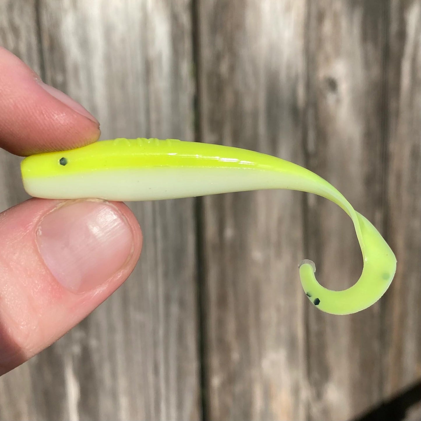 A.M. Fishing Curly Tail Jerkshad 4 Inch Soft Baits Garlic Infused, 8 Pack - Saltwater & Freshwater Fishing Lures for Bass, Redfish, Snook, and Trout (Golden)