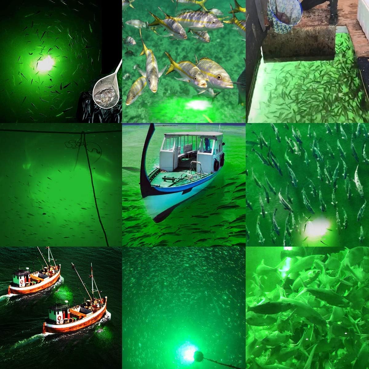 SAMDO IP68 12V LED Underwater Fishing Light 1080 Lumens Fish Attracting Lights, Night Fishing Light 10.8W Upgraded