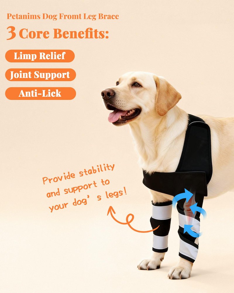 Petanims Dog Front Leg Brace - Knee/Carpal/Wrist Support for Dogs, Adjustable Dog Elbow Brace with Shoulder Support, Reflective Dog Elbow Protector for Pain Relief & Better Recovery, Small