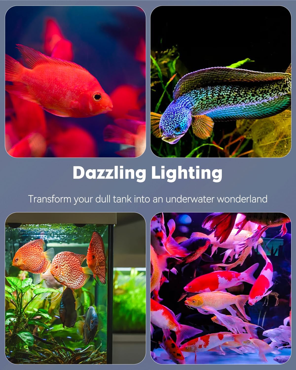 Pawfly 8-Inch Aquarium Color Enhancement Light - IPX8 Waterproof LED for 8" to 15" Fish Tanks | 7 Effects & Adjustable Brightness