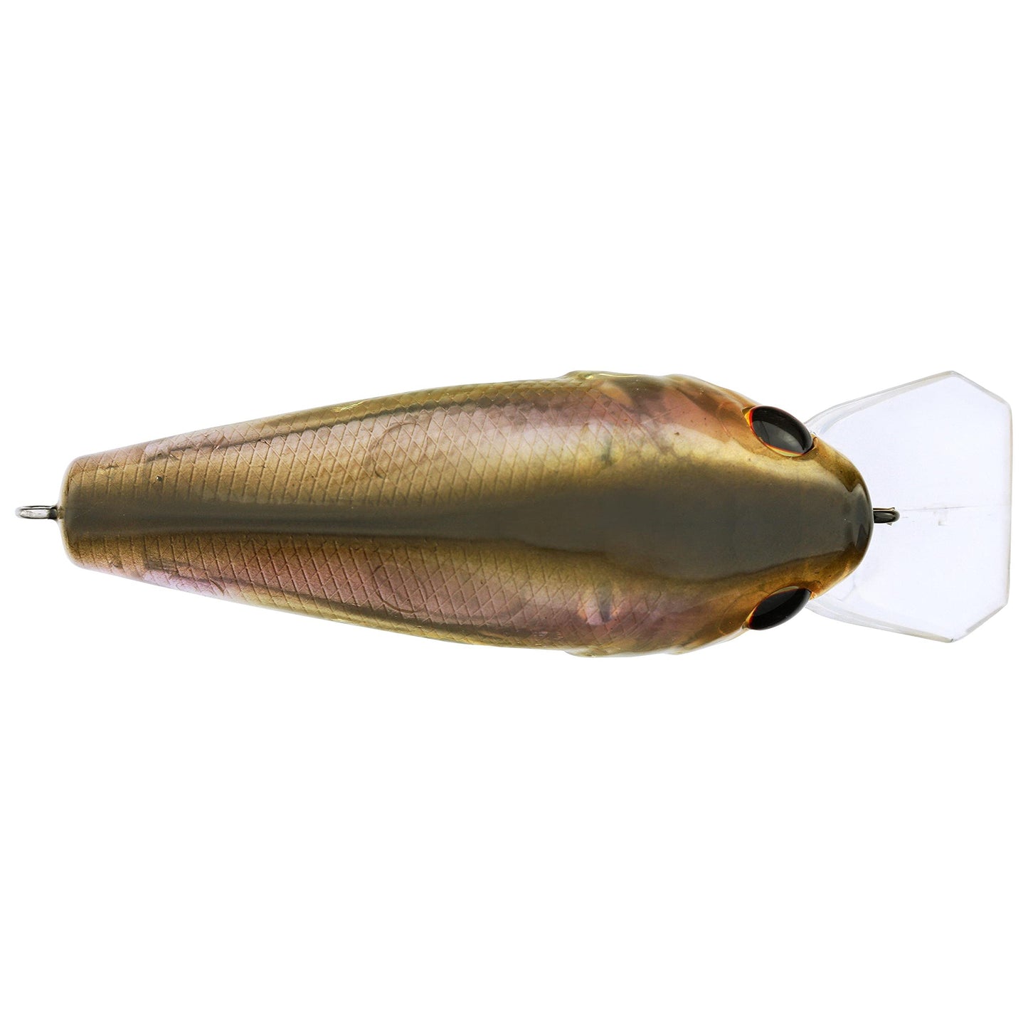 Berkley SquareBull Fishing Hard Bait