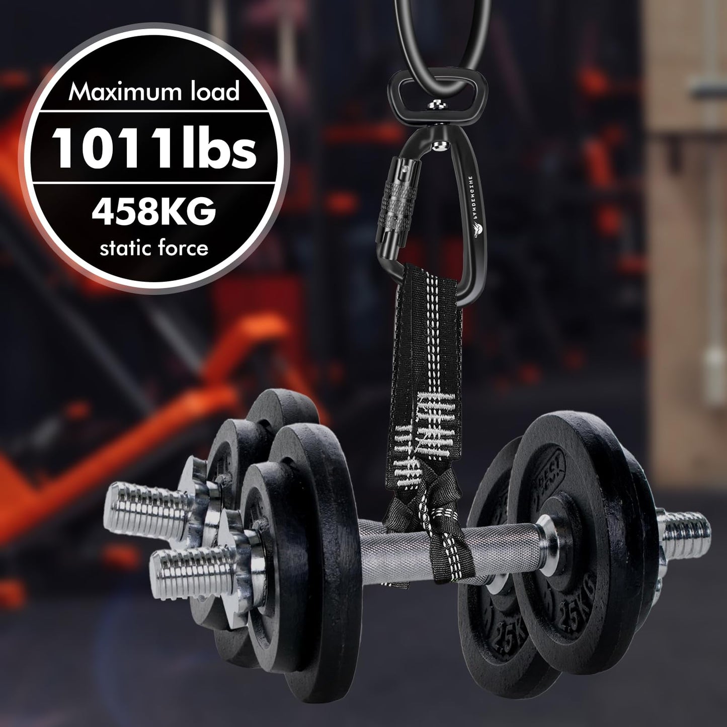 PANDENGZHE Locking Carabiner Clip 2.5" with Swivel Ring for Securing Pets, Dog Leash Harness, Camping, Hiking, Keychains