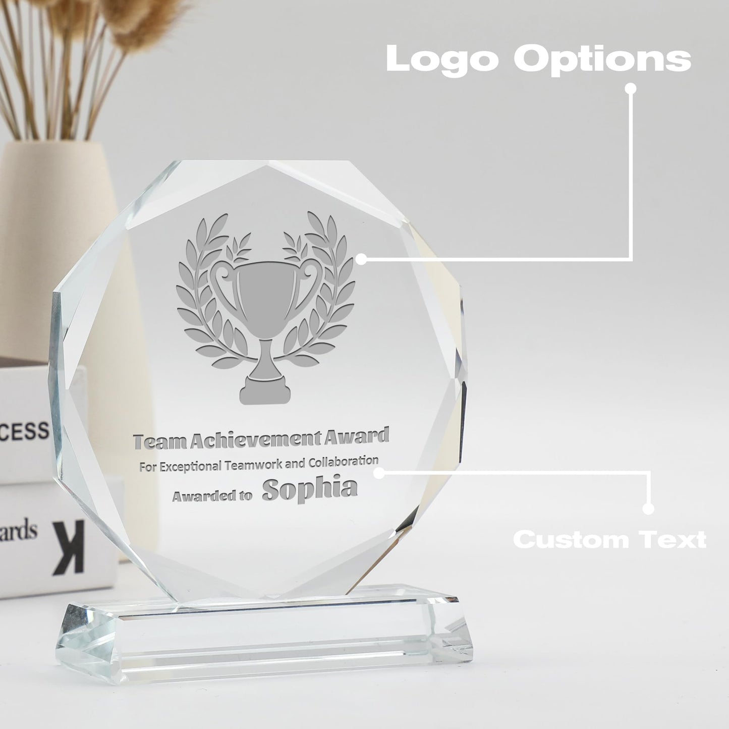 ZALHIN Personalized Crystal Trophy Award - Award for Employees- Plaques Personalized Engraved- Coworker Gift (Choose Logo/Monochrome)