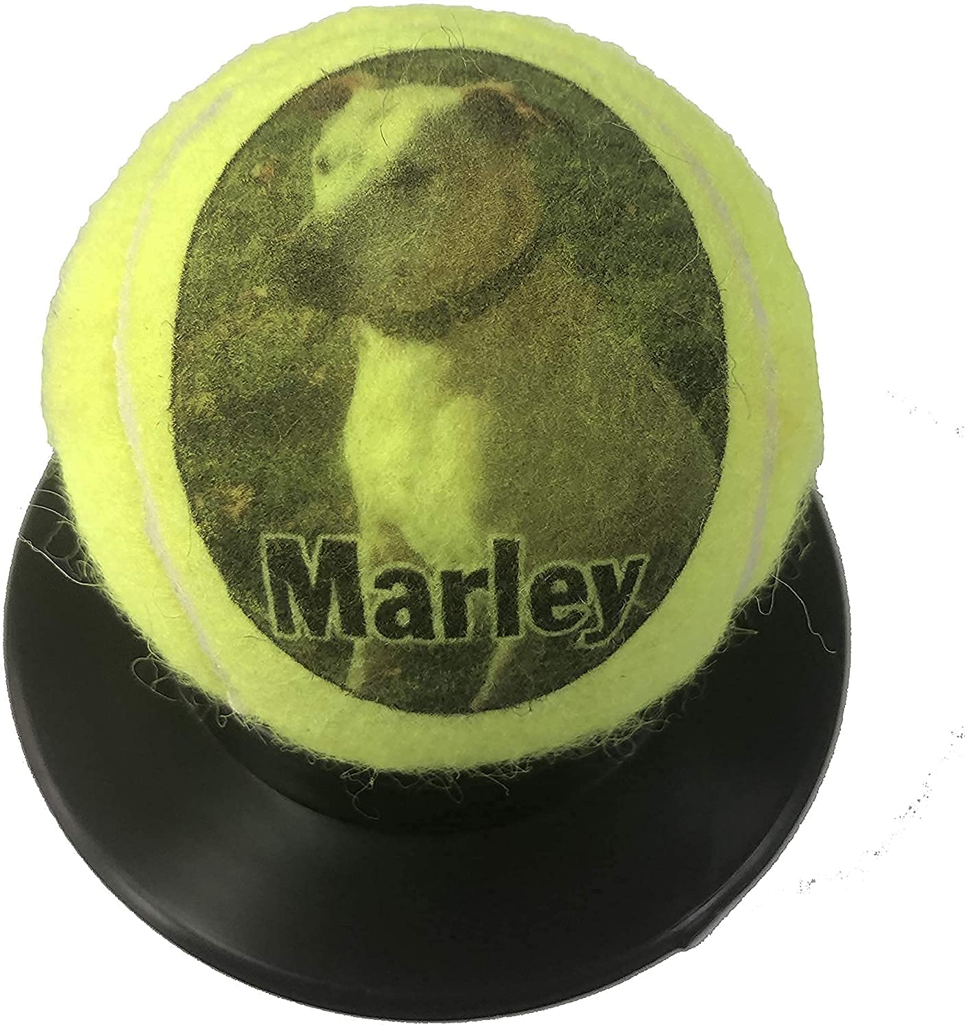 Custom Personalized Tennis Ball Without Base