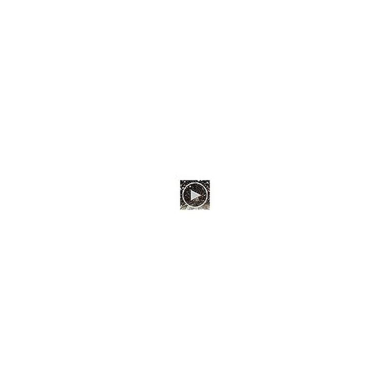 Giro Axis/Ella Snow Goggle Replacement Lens Vivid Onyx