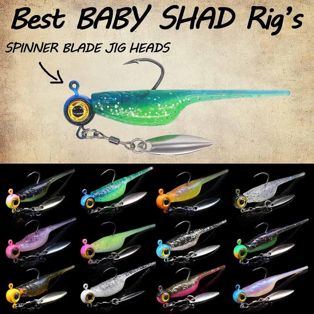 Crappie Fishing Lures Kit - Shad Minnow Plastic Baits & Jig Heads | 40 & 135 Piece Sets