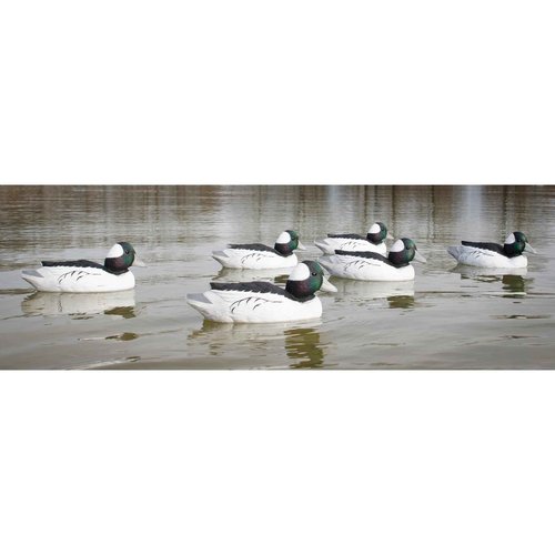 Higdon Outdoors Standard Bufflehead Floater Duck Decoys | Ultra Realistic Drake & Hen Decoys for Waterfowl Hunting | 6 Upright Drakes| Foam-Filled | 6pk