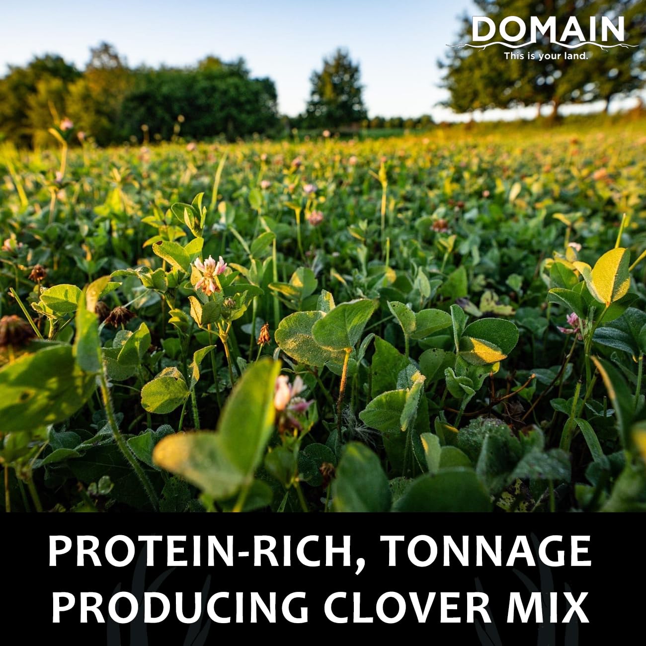 Domain Outdoor Comeback Kid Food Plot Seeds for Deer, Special Varieties of Clover & Alfalfa, Great to Plant in Spring, High Protein Forage, Year-Round Attraction, Lasts up to 5 Years, 1/2 Acre