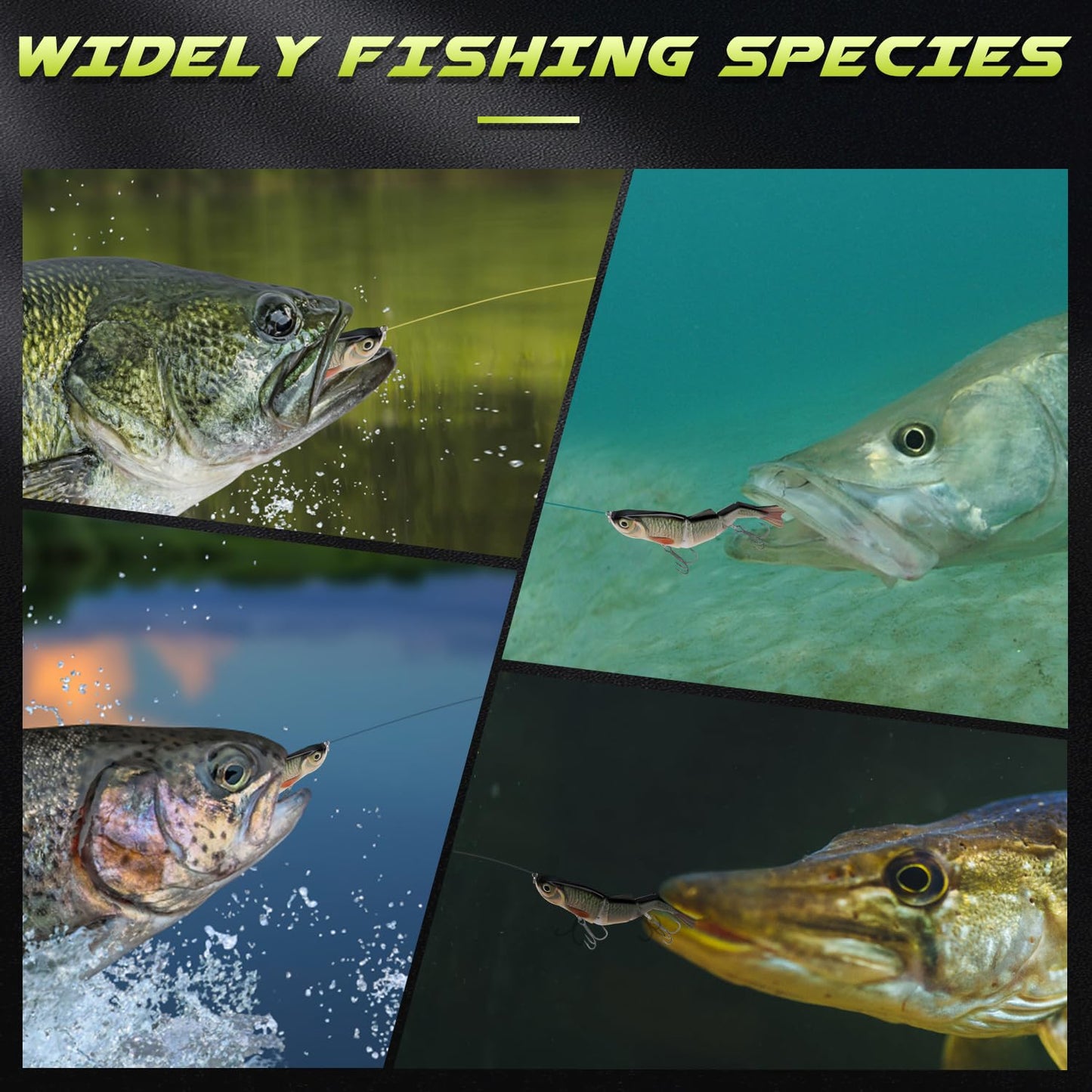 GOTOUR Fishing Lures for Freshwater or Saltwater, Easy to Use for Family Fishing Beginner and Pros, Most Lifelike Jointed Swimbait for Almost All Fishes，Slow Sinking Bass Pike Panfish Walleye Lures