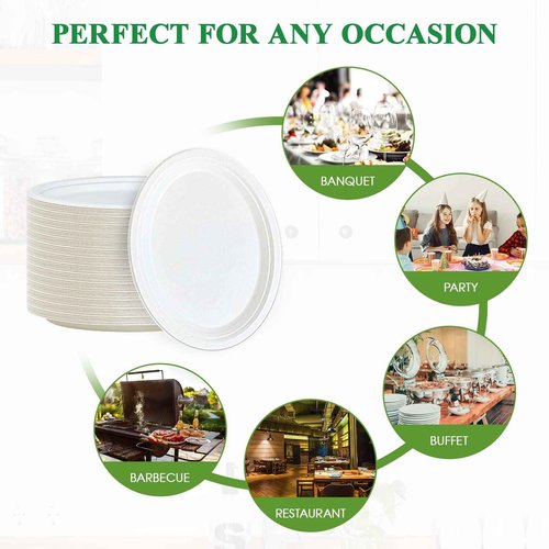Vplus 300 Pack 100% Compostable Oval Paper Plates 12 inch Super Strong Disposable Paper Plates Bagasse Natural Biodegradable Eco-Friendly Sugarcane for BBQ, Party, Dinner, and Picnic