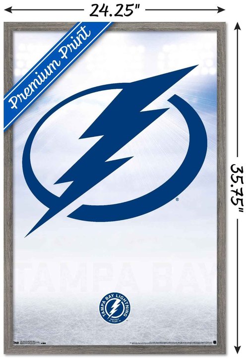 Trends International NHL Tampa Bay Lightning - Logo 17 Wall Poster, 22.375" x 34", Barnwood Framed Version