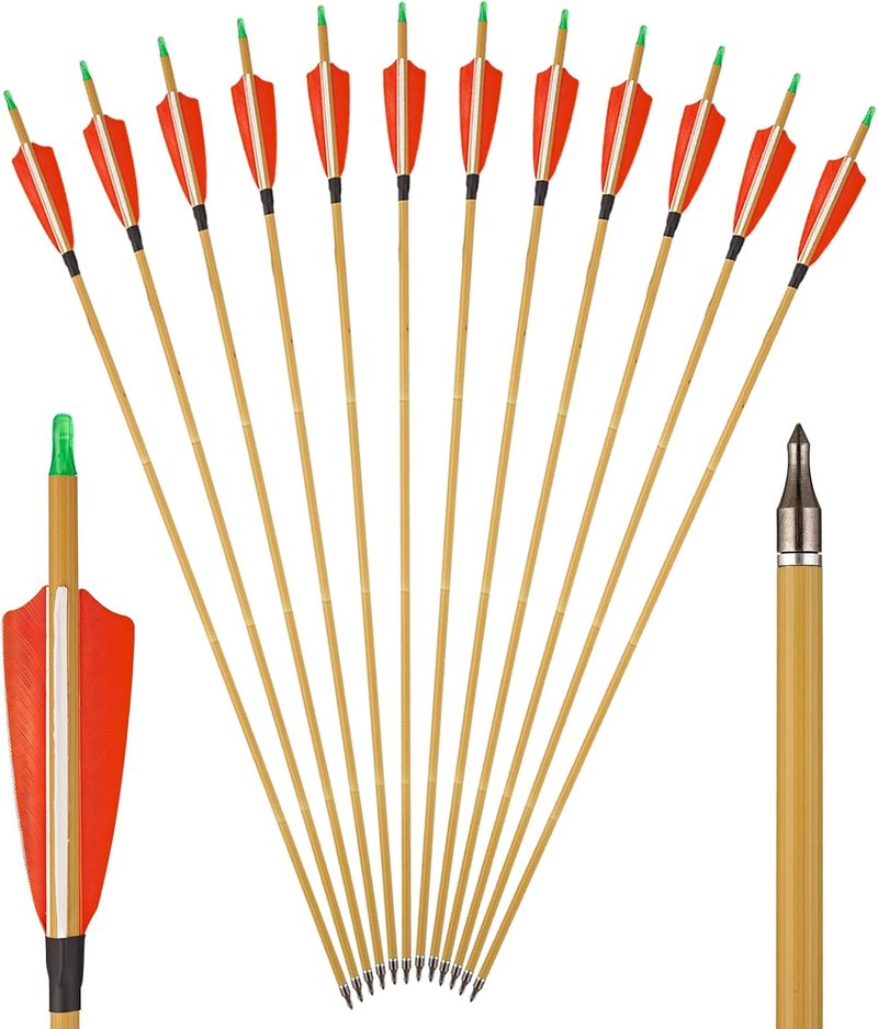 Premium 30" Carbon Hunting Arrows - 4" Turkey Feathers Fletching | 12-Pack 500 Spine Target Arrows for Recurve & Long Bow