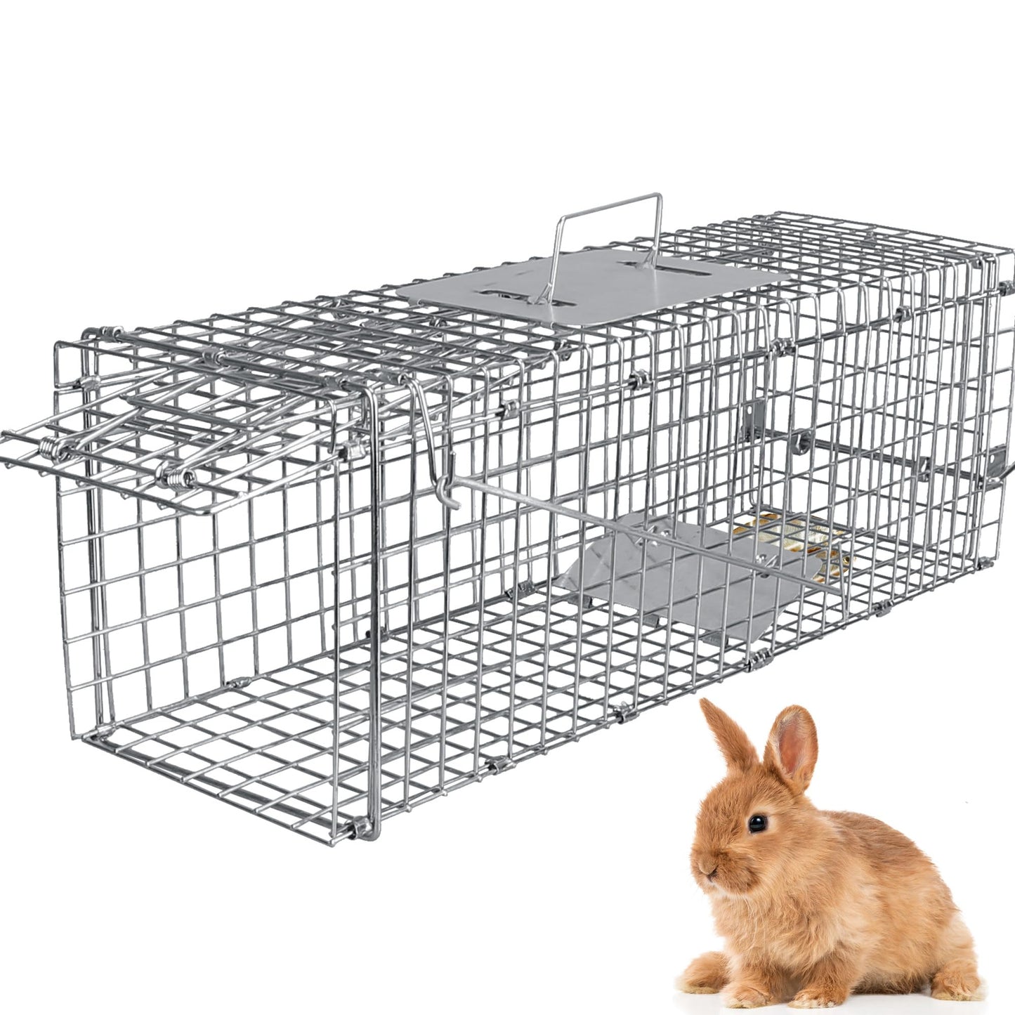 24” Humane Live Animal Trap Cage, Heavy Duty Folding Catch and Release Rodent Trap for Squirrels, Rabbits, Stray Cats, Skunks, Moles, Gophers, Groundhogs – Galvanized Rustproof Steel