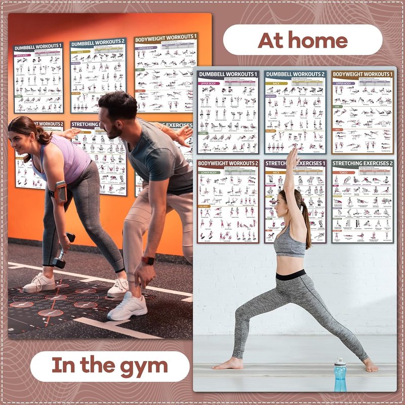 Workout Posters for Home Gym - 6PCS Dumbbell & Bodyweight Exercise Charts | Ideal for Stretching
