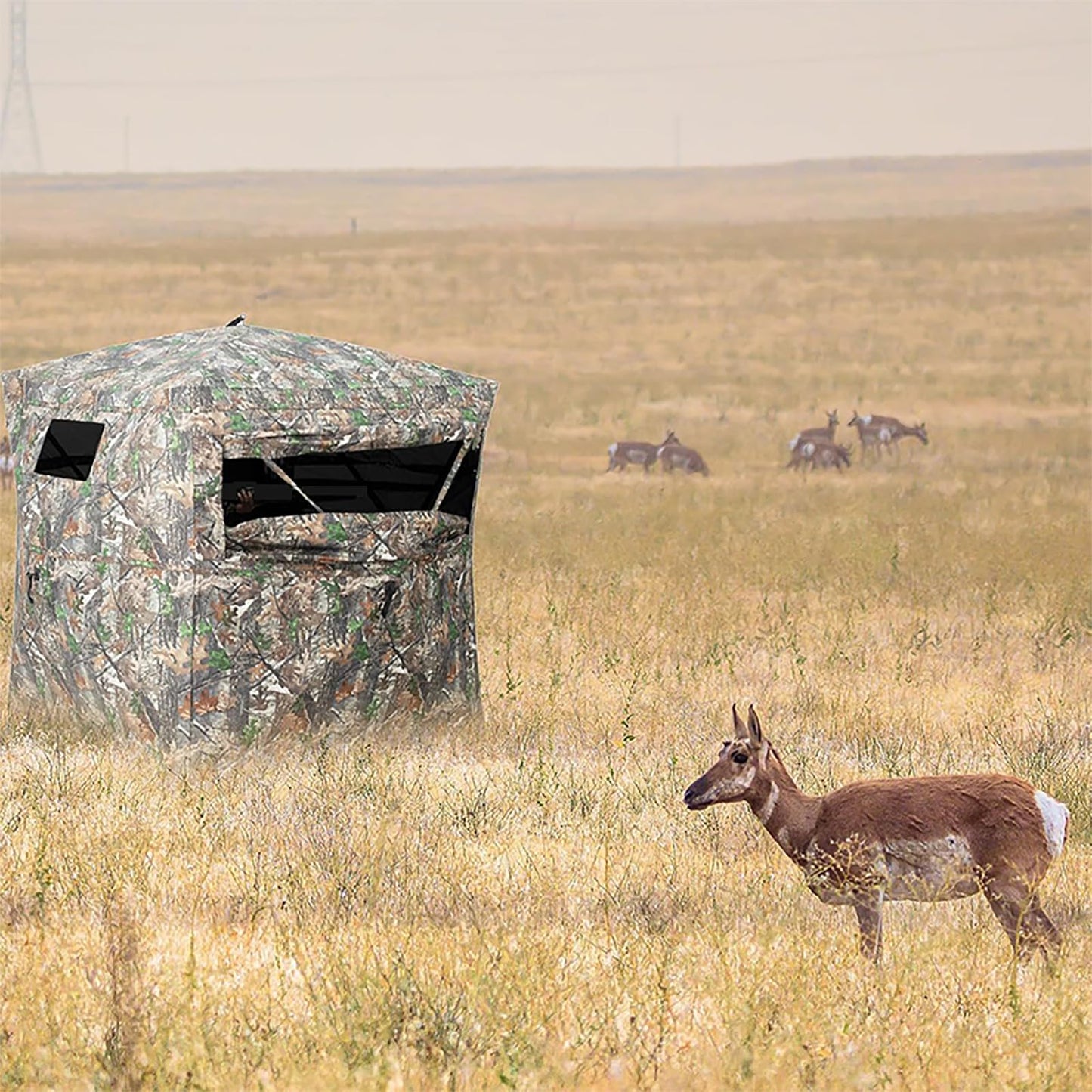 Fogun Hunting Blind 270 Degree See Through with Carry Bag, 3-4 Person Pop-Up Ground Blind - Durable 300D Deer & Turkey Blind for Full Concealment, Portable Tent (Forest Camo)