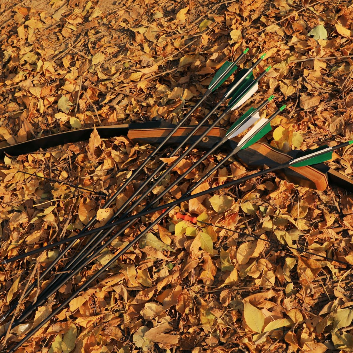 LWANO 30" Carbon Arrows, Archery Target Practice Hunting Arrows,12 Pack