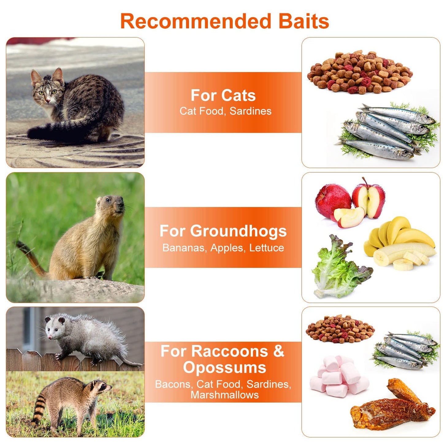 24” Humane Live Animal Trap Cage, Heavy Duty Folding Catch and Release Rodent Trap for Squirrels, Rabbits, Stray Cats, Skunks, Moles, Gophers, Groundhogs – Galvanized Rustproof Steel