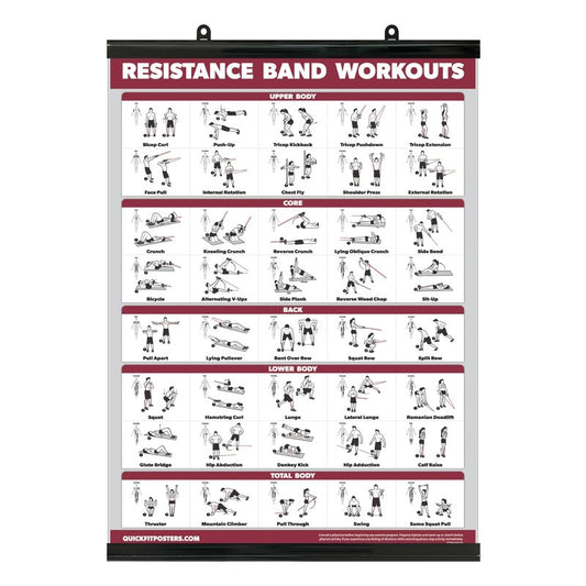 Palace Learning QUICKFIT Resistance Bands Workout Exercise Poster - Double Sided (Laminated with Plastic Frame, 18" x 24")