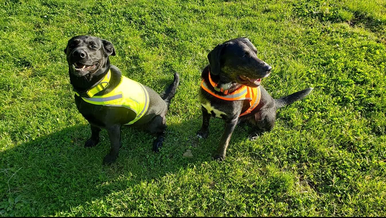 SafetyPUP Dog Vest | Reflective Hi-Visibility Fluorescent Yellow | Mid Back Coverage for Safety
