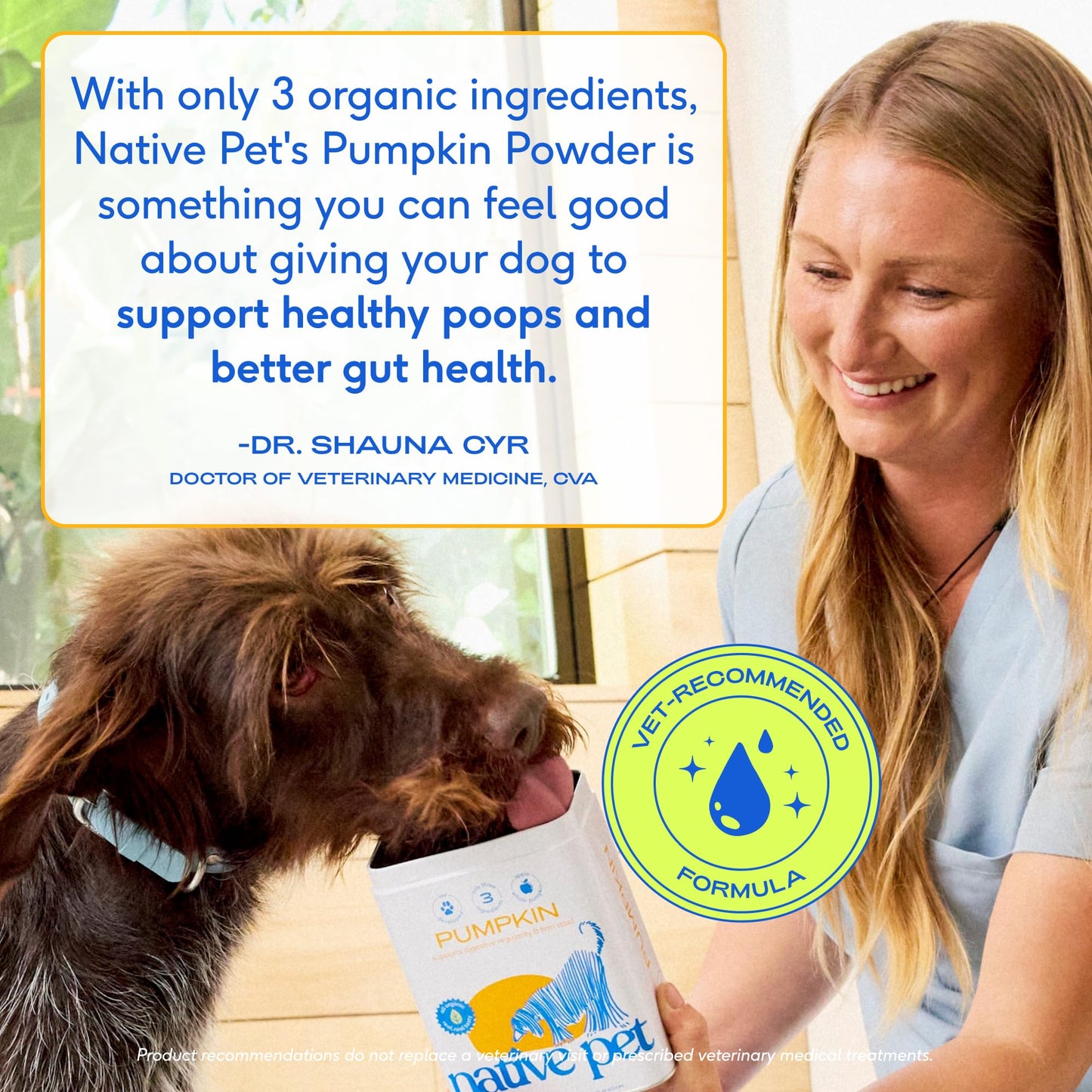 Native Pet Pumpkin for Dogs - Organic Dog Food Topper Powder - Promotes Firm Stools, Supports Digestive, Bowel Health & Nutrient Absorption - USDA Organic, Rich in Fiber with Real Pumpkin - 60 Scoops