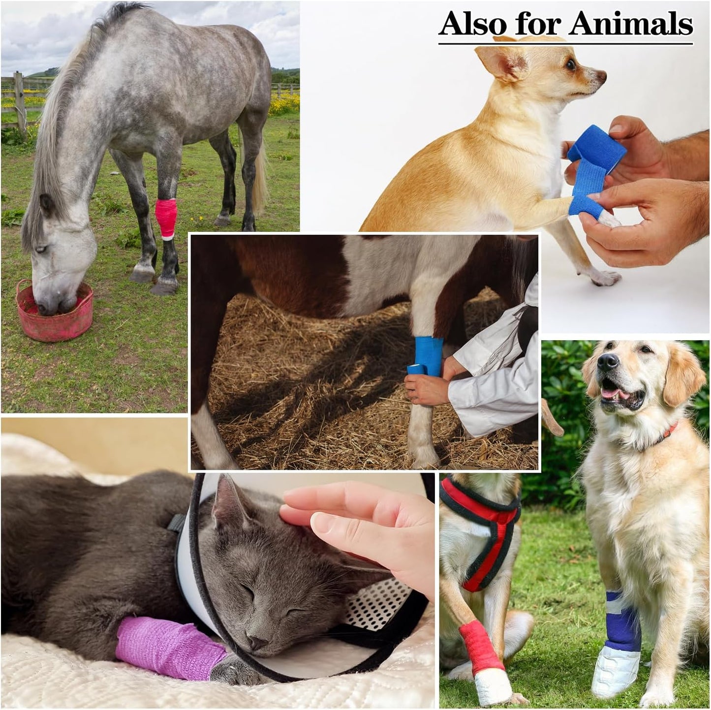Self-Adhesive Bandage Wraps - 6 Pack | 2 Inch, 5 Yard, 12 Color Options for Sports & Swelling Relief