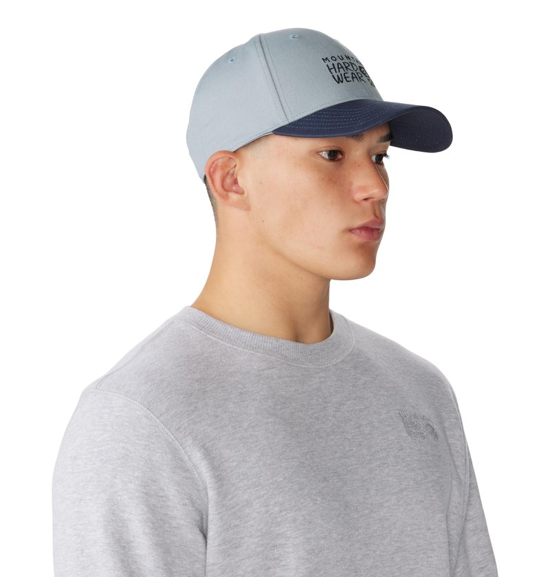 Mountain Hardwear Unisex MHW Logo Cap, Light Zinc, One Size