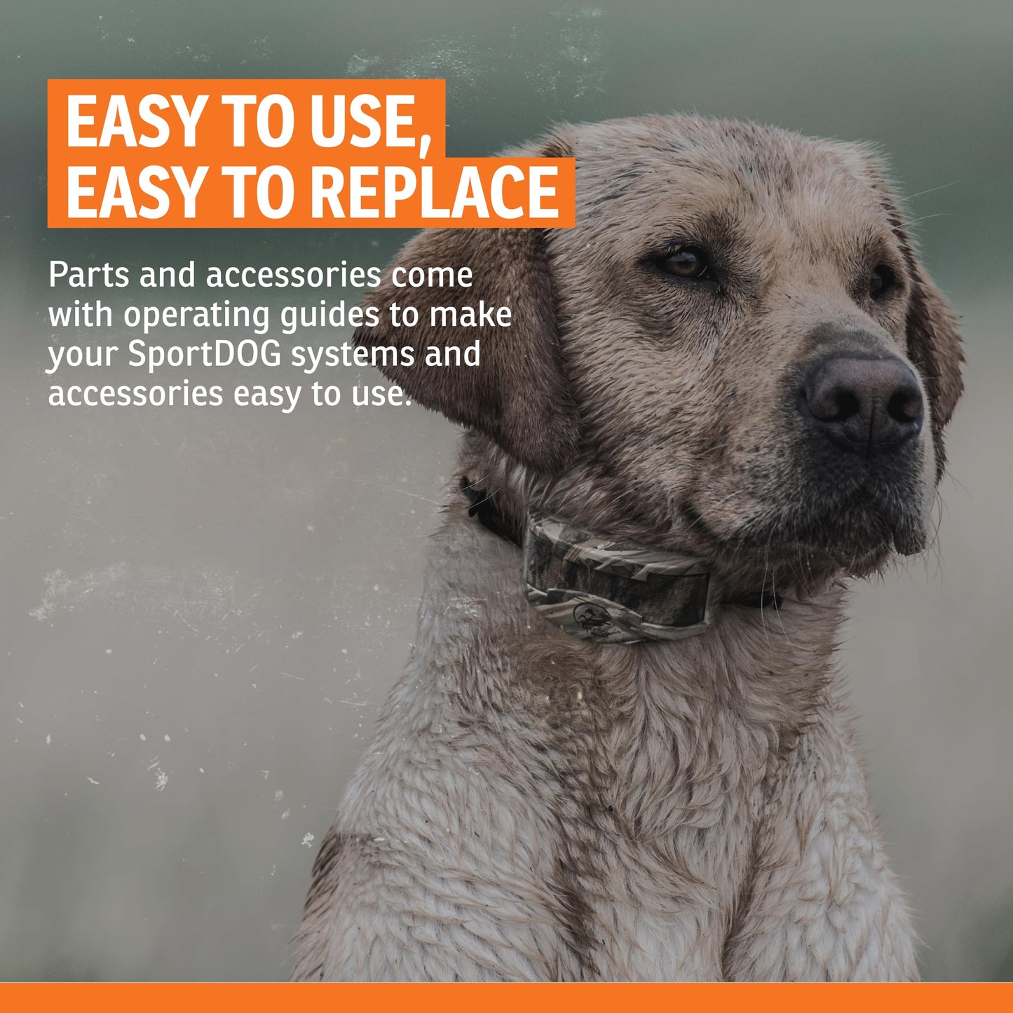 SportDOG TEK Series 2.0 USB Cables - Quality GPS Collar Charging Adaptor Cable - Quickly Connects to Computer or Adaptor for Convenient Use - Reliable USB Connection