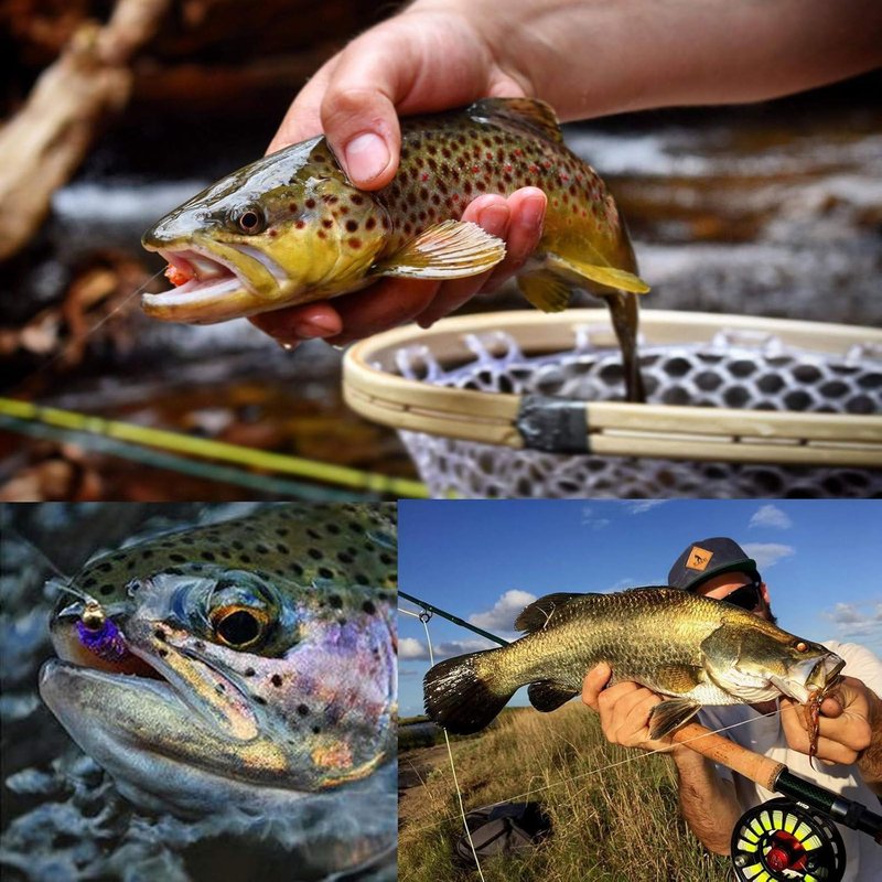 Maxcatch Fly Fishing Tapered Leader Line - 6 Pack with Pre-Tied Loop | Abrasion Resistant, Low Memory, 7.5ft-15ft, 0X-7X