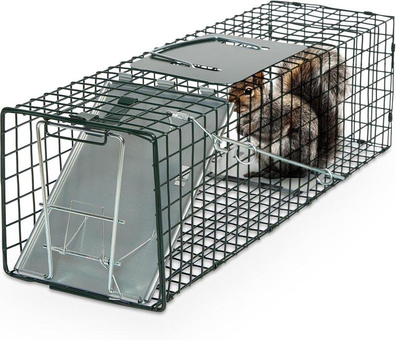 Humane Way Live Animal Trap - 24 Inch Safe Trap for Cats, Squirrels, Rabbits & Rodents | Easy No Assembly