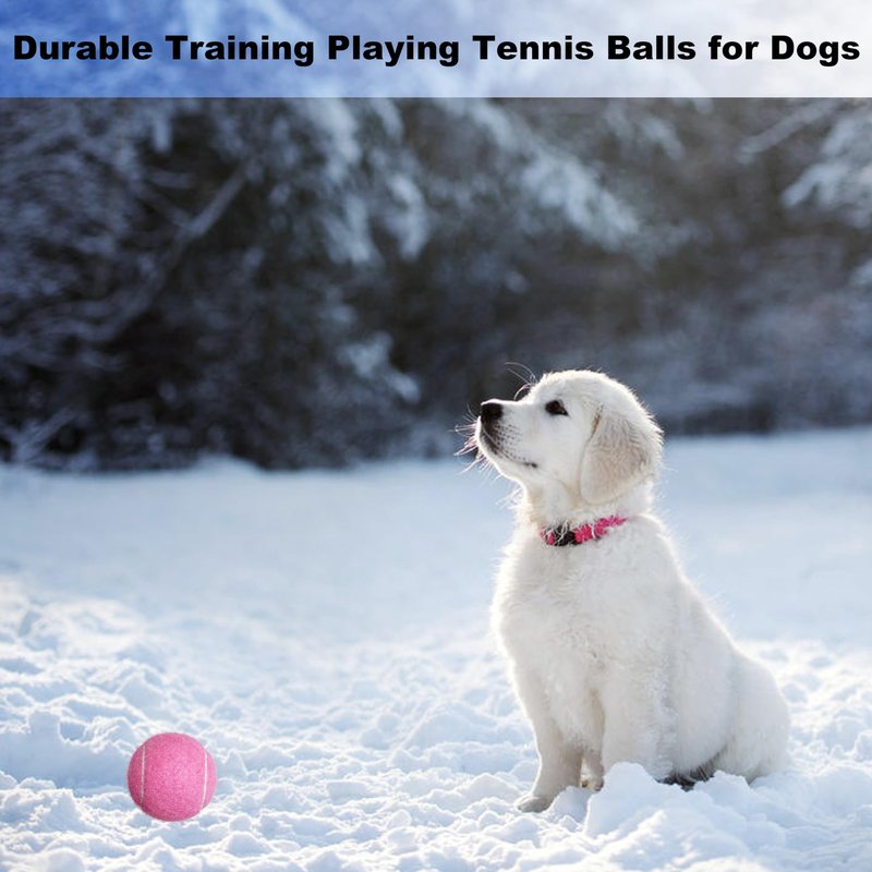 HPWFHPLF Tennis Balls, 15 Pack Practice Tennis Ball for Beginners, Training Playing Tennis Balls for Dogs, Come with Mesh Carry Bag (Black)