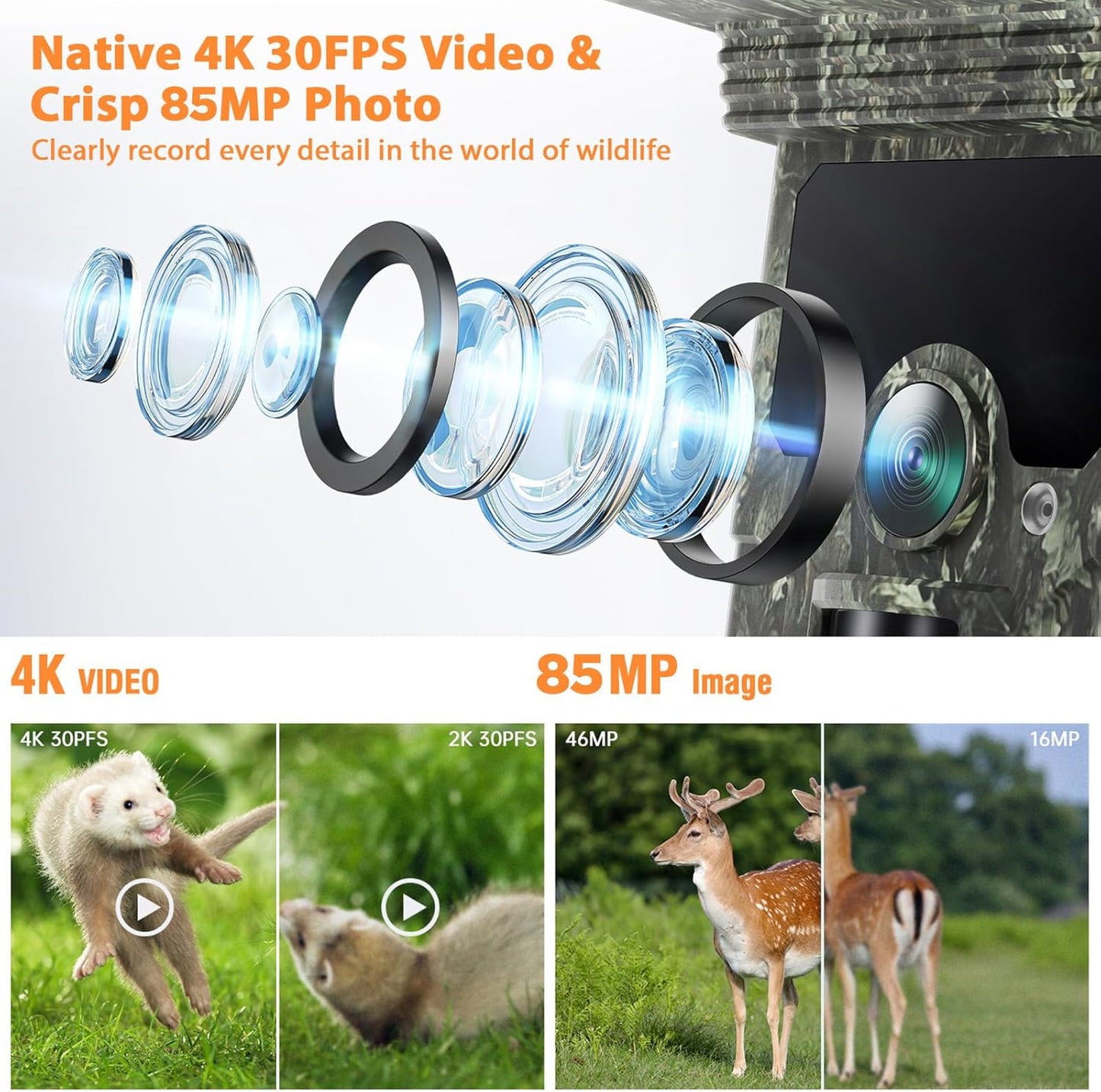 Solar Trail Camera - 4K 85MP WiFi Bluetooth Game Camera with Night Vision | Rechargeable 2500mAh Battery, IP66 Waterproof for Wildlife