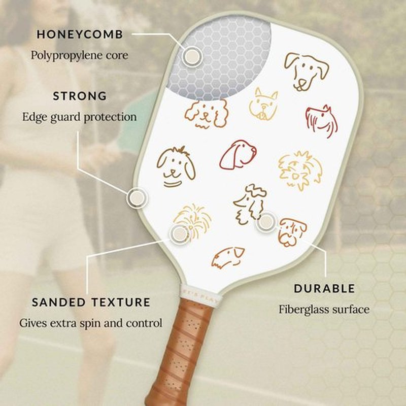 Recess Premium Pickleball Paddle, Rover - Strong & Durable Fiberglass Surface, Lightweight, Honeycomb Core & Comfort Grip Handles - Tournament or Casual Play, USAPA Approved