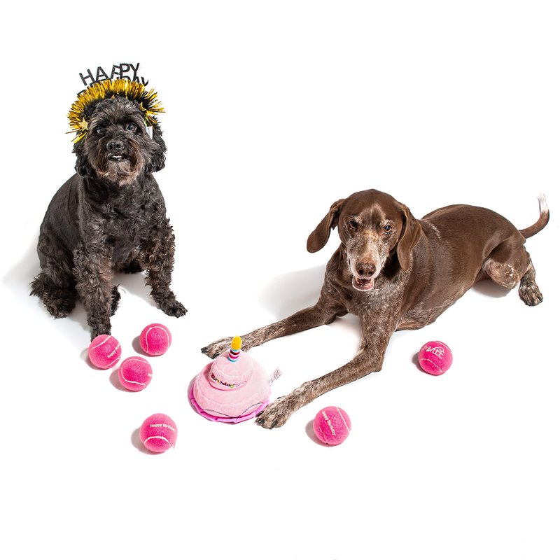 Midlee Happy Birthday Dog Tennis Balls (6 Pack) (Regular, Pink)