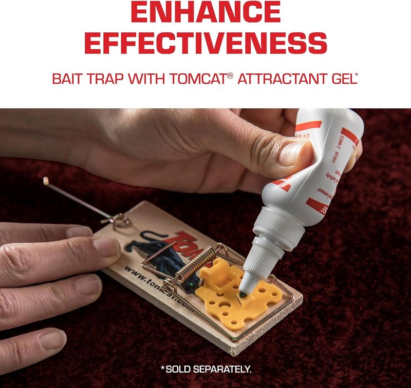 Tomcat Wooden Mouse Traps - Non-Chemical, Disposable Traps for Homes | 4 Count (Pack of 3)