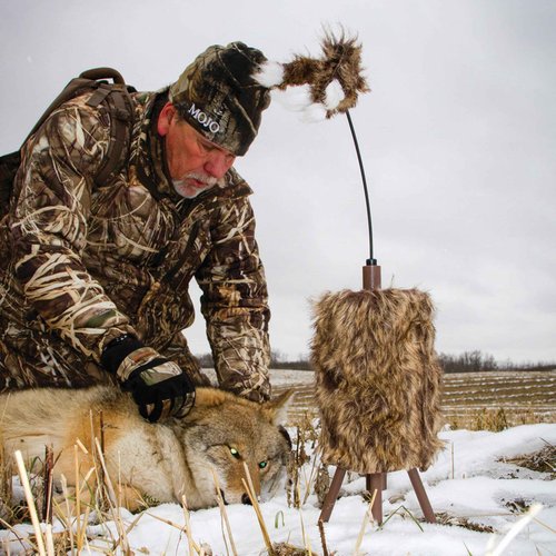 MOJO Outdoors Critter Predator Hunting Decoy - Great for Coyote and Bobcat Hunting and as a Varmint Decoy - Tail Decoy - Rabbit Decoy - Super Critter