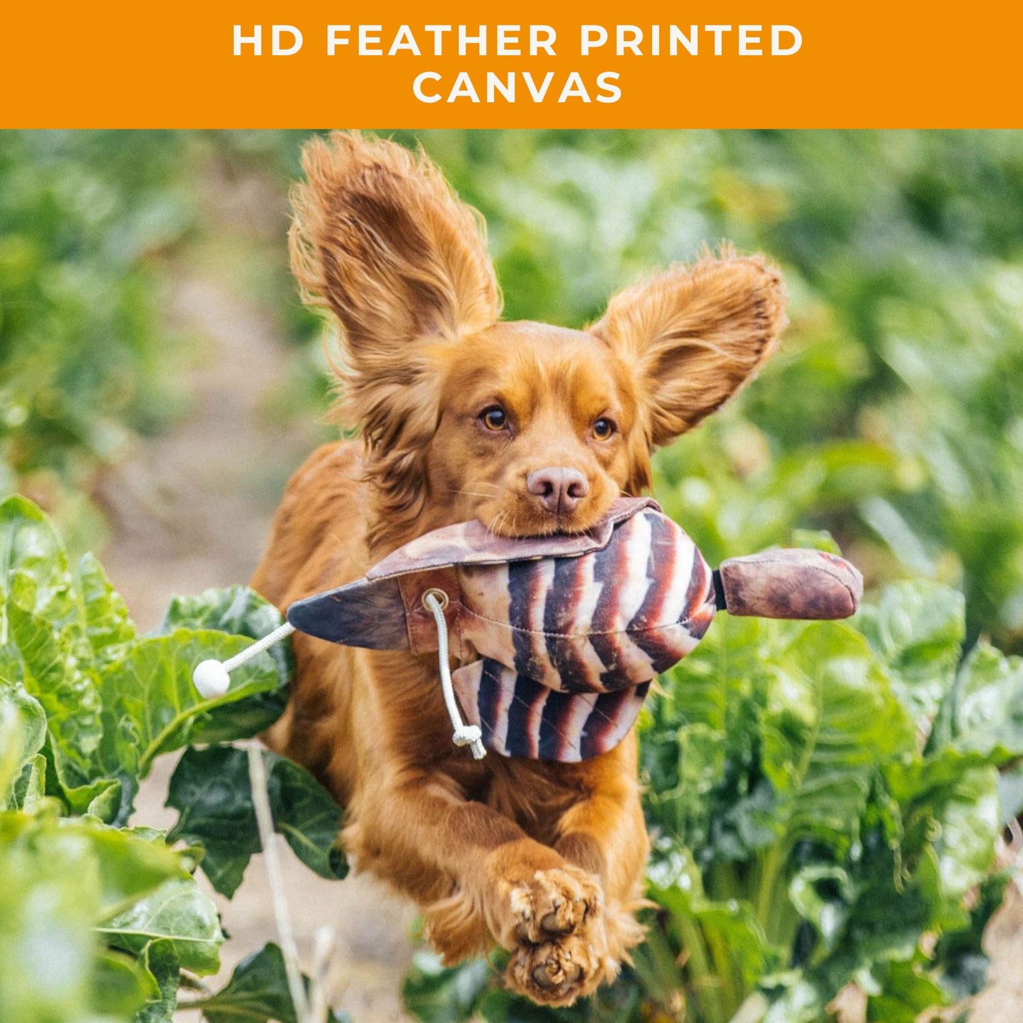 The Original Clone® Realistic Game Bird Dog Training Dummy - Canvas Dummy with HD Feather Print for Gundog & Puppy Training - Dog Hunting Equipment (Snipe Mini Launcher Dummy)