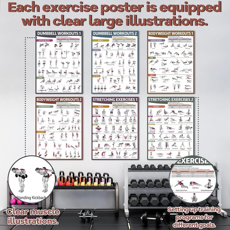 Workout Posters for Home Gym - 6PCS Dumbbell & Bodyweight Exercise Charts | Ideal for Stretching