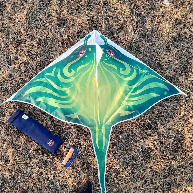 Colorful Devil Fish Kite for Kids & Adults - Easy to Fly Delta Design | 300ft String Handle Included