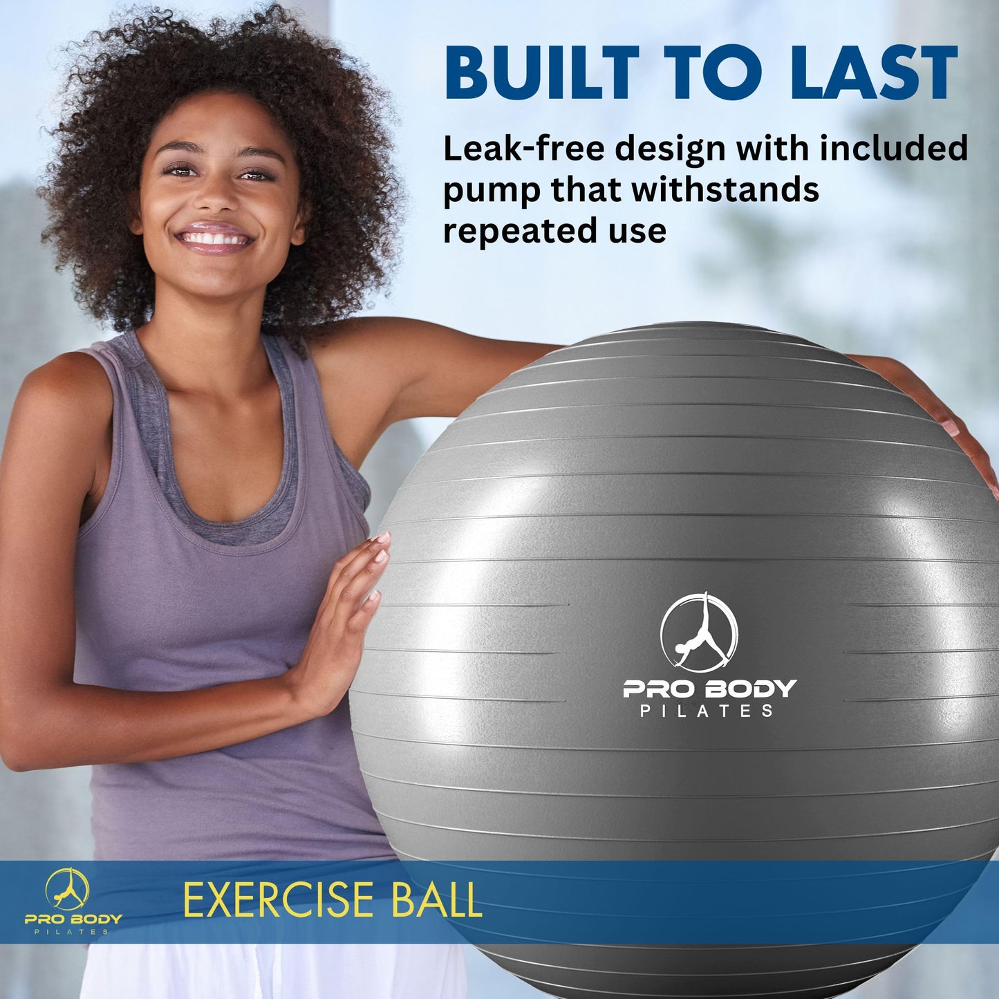 ProBody Pilates Exercise Ball - Multiple Sizes Gym Grade Balance Ball for Fitness, Workout, Pregnancy & Physical Therapy, Stability Yoga Ball Chair (Silver, 65 cm)