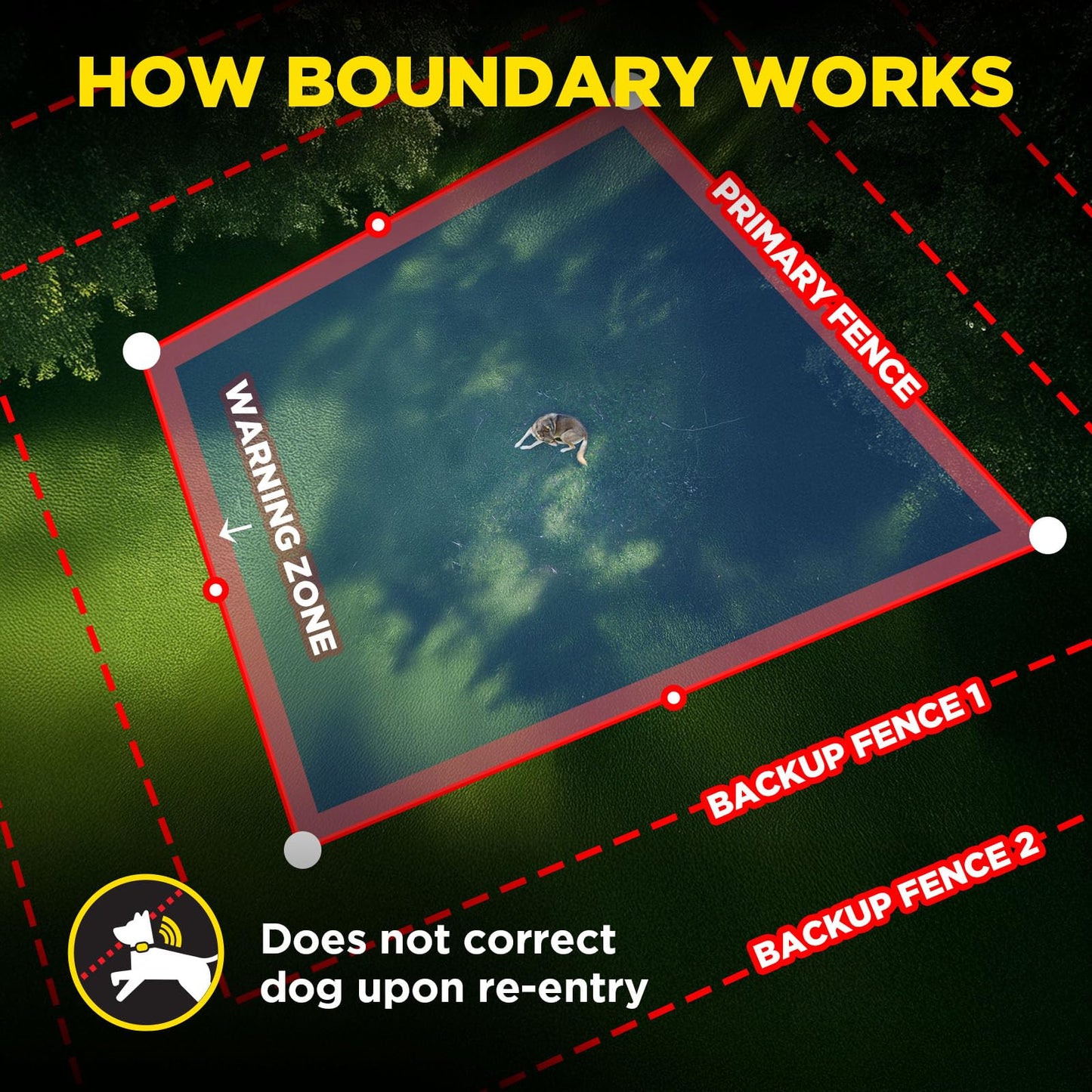 Dogtra GPS Dog Fence & Titanium Enhanced Contacts | No Subscription, Wireless Custom Fence with App, Tone/Vibration/Correction, Waterproof Rechargeable Collar 15lbs+, Better Comfort & Connection