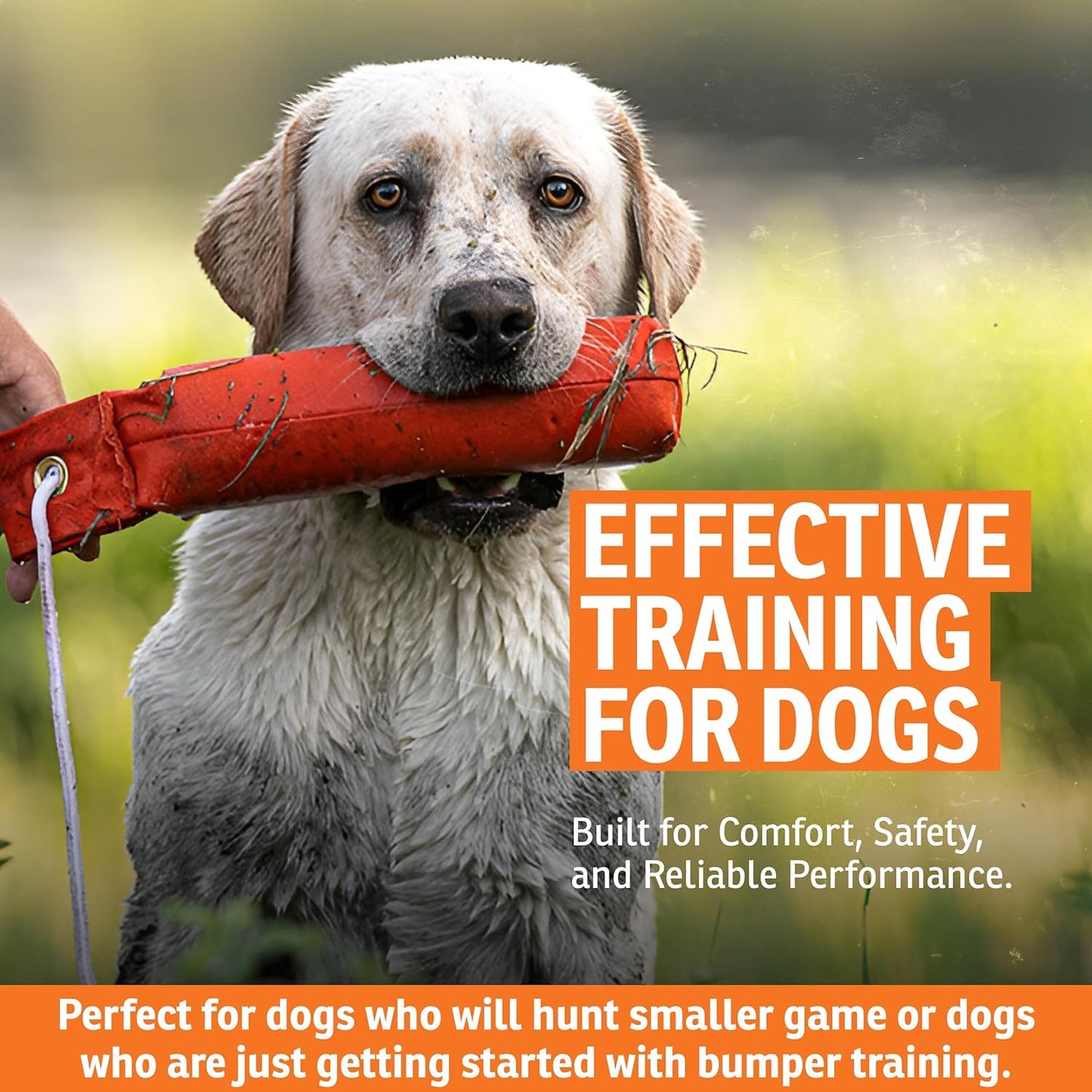 SportDOG Canvas Dummies - Durable Hunting Dog Training Tool - Water-Ready Bumper | Standard Size 2.75" W X 12" L - Orange