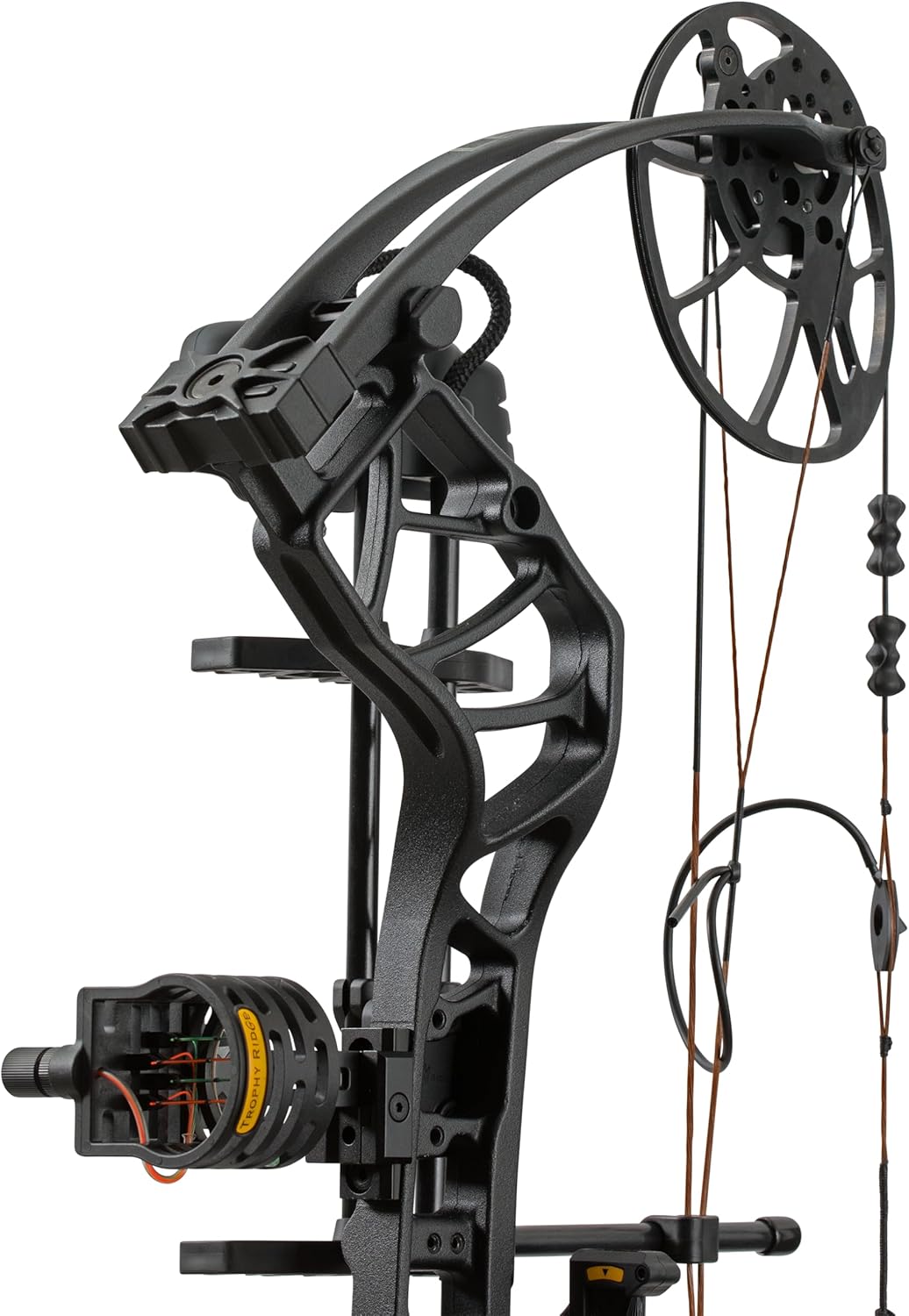 Bear Compound Archery Bow - Maxx Ready to Hunt, 70lb Draw Weight | Precision Performance