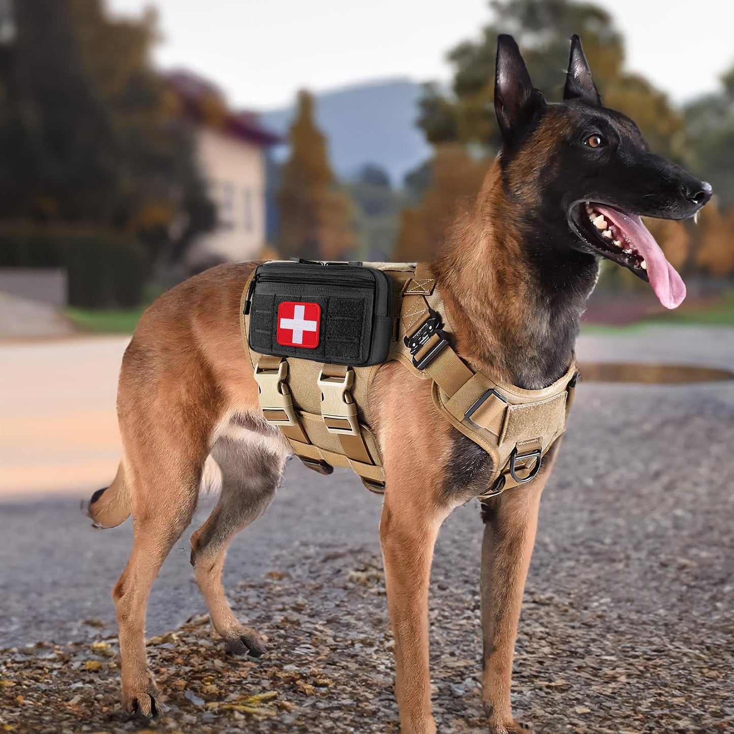 FRTKK Tactical Molle Admin Pouch Utility Laser Cut EDC Tool Pouch Bag Horizontal Modular Pouches Include US Flag Patch and Keychain (ACU)