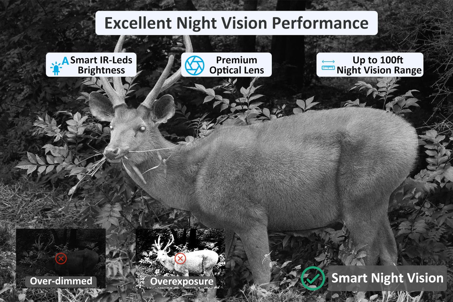 Meidase Trail Camera P100P, WiFi Bluetooth (Non-Cellular), Rechargeable, 48MP 1296p, 100ft No-Glow Night Vision, IP66 Waterproof, Fast 0.1s Trigger Speed Motion Activated, Camo
