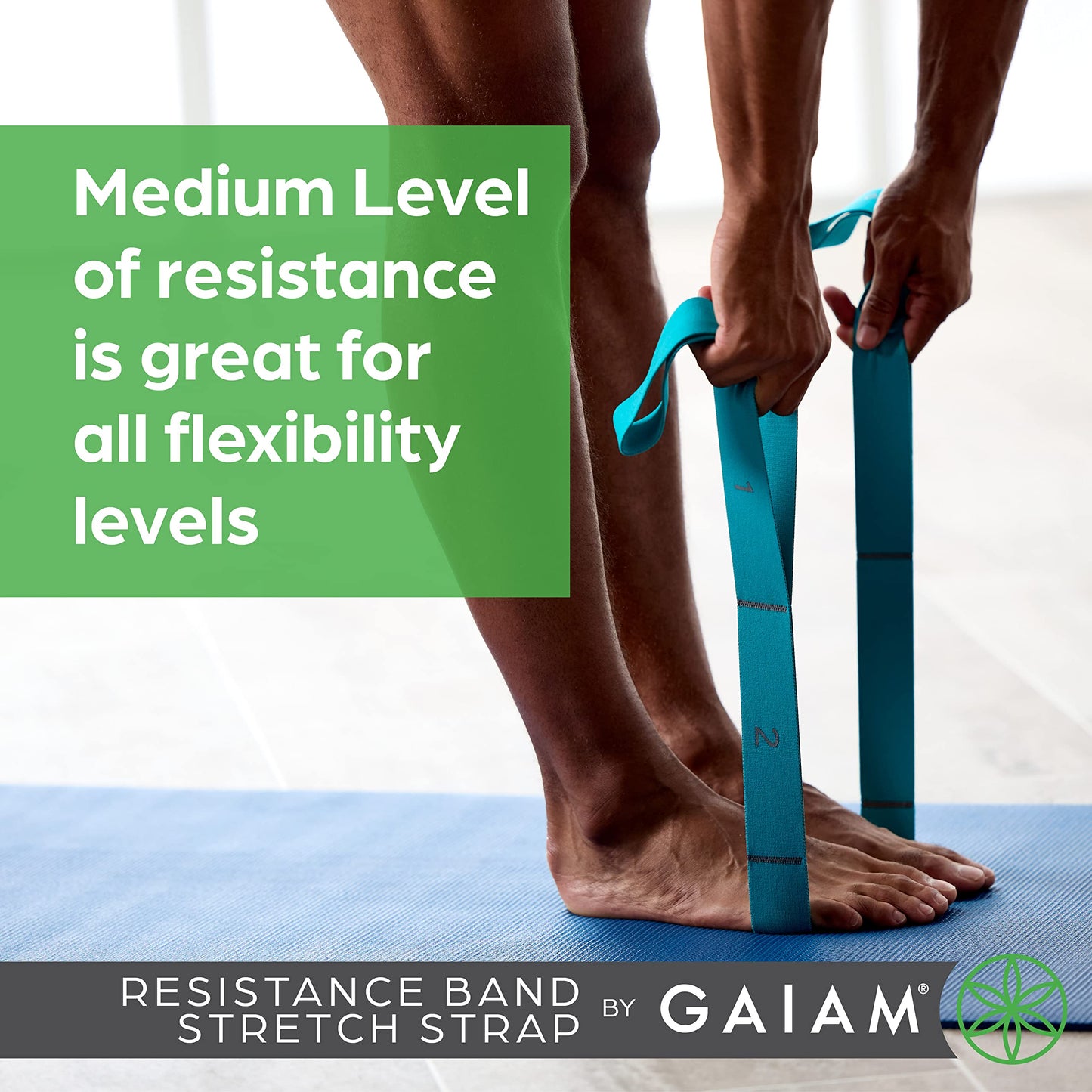 Gaiam Restore Stretch Band Strap - Elastic Stretching Strap with Loops for Medium Resistance Stretch Assist on Leg, Hamstring, Exercise/Fitness/Workout, Physical Therapy Green,Teal