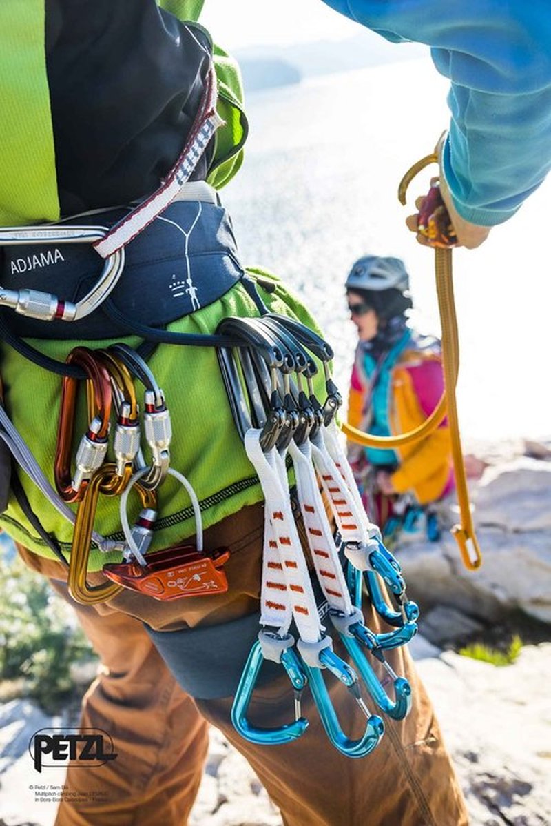 Petzl Sm'D Carabiner - Versatile, Lightweight, Compact, D-Shaped Locking Carabiner for Rock and Ice Climbing - Twist-Lock - 3-Pack