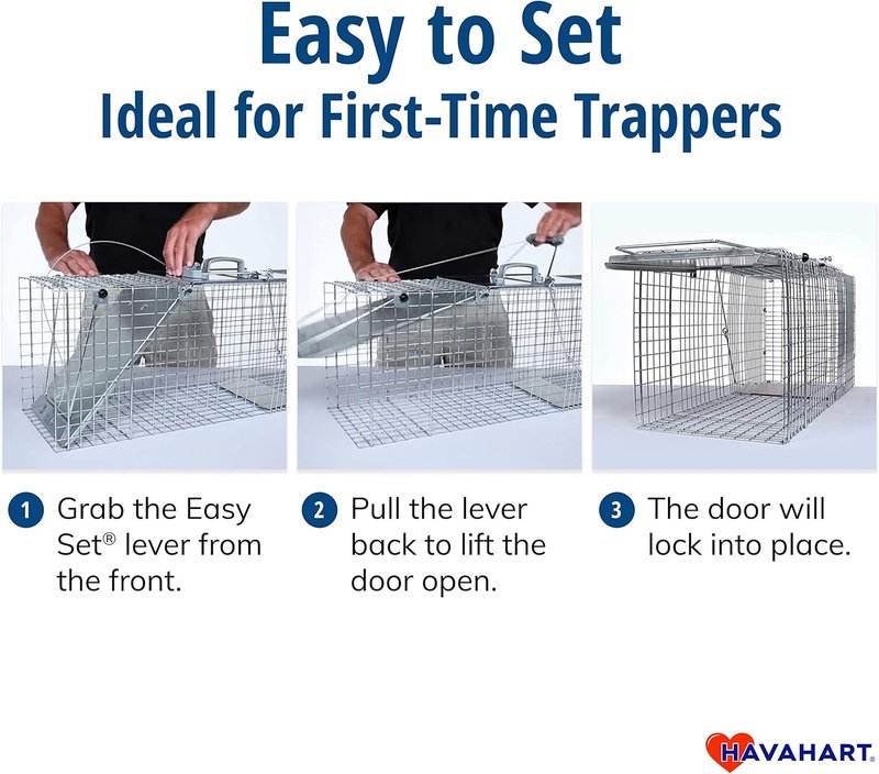 Humane Live Animal Trap - Easy-Set 1-Door Design for Squirrels, Rabbits & Skunks | Durable Steel Construction